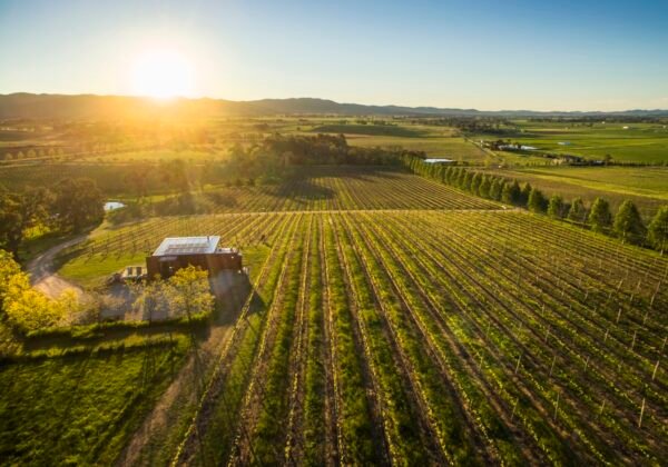 First Ridge Wines winery