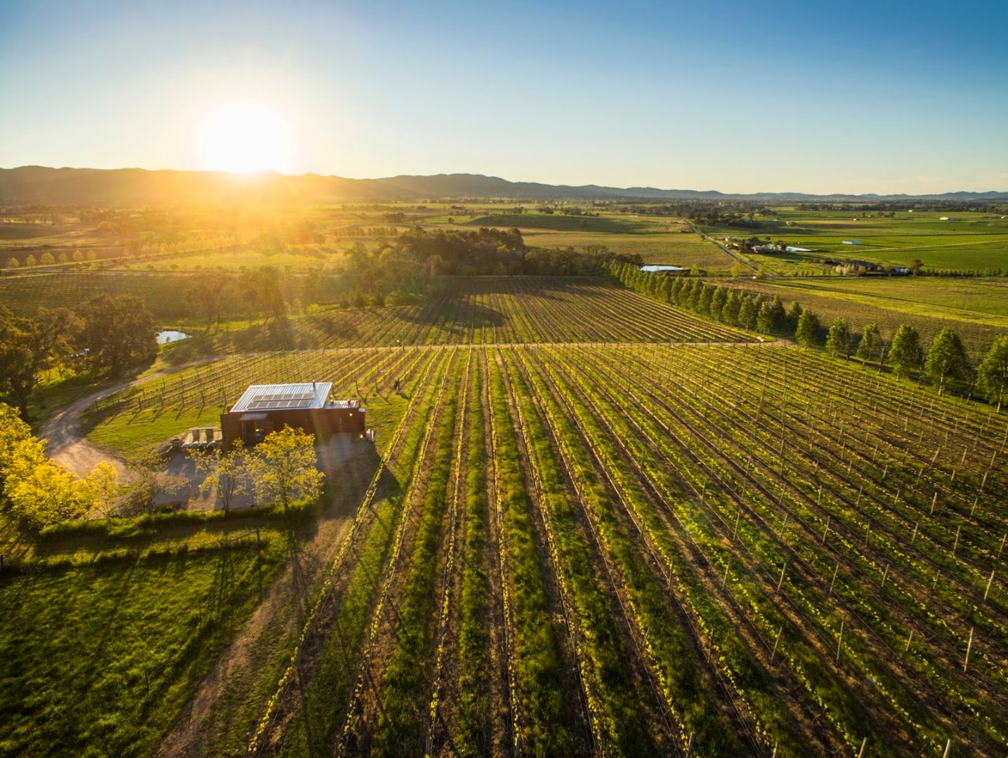 first-ridge-wines-mudgee-real - AustralianSecret First Ridge Wines winery