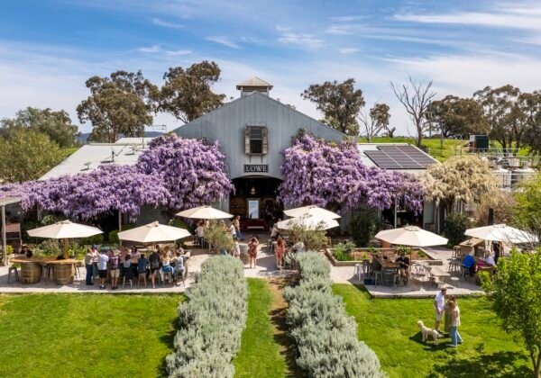 Lowe Family Wine Co winery