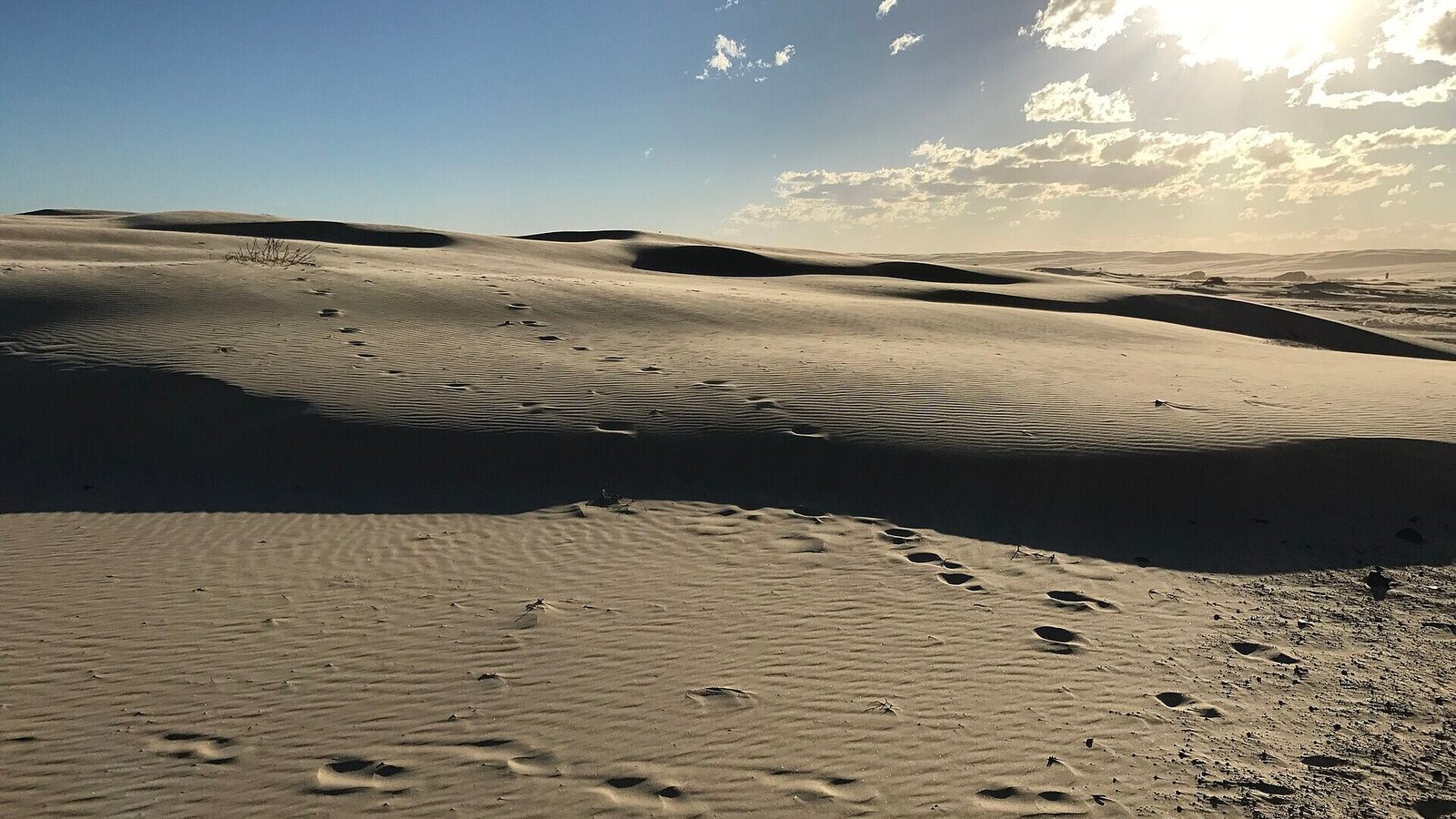 anna-bay-dunes-port-stephens - AustralianSecret Sand dunes at Anna Bay, Port Stephens, NSW