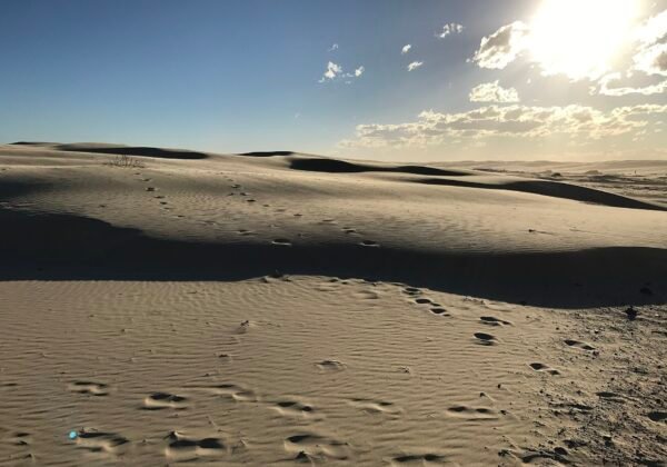 Sand dunes at Anna Bay, Port Stephens, NSW