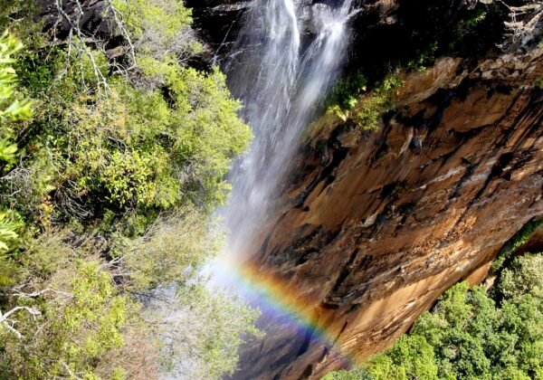 Fitzroy Falls, Morton National Park, Southern Highlands NSW
