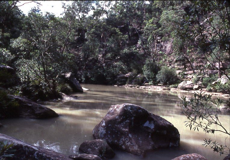 Glenbrook Creek in the Blue Mountains, NSW