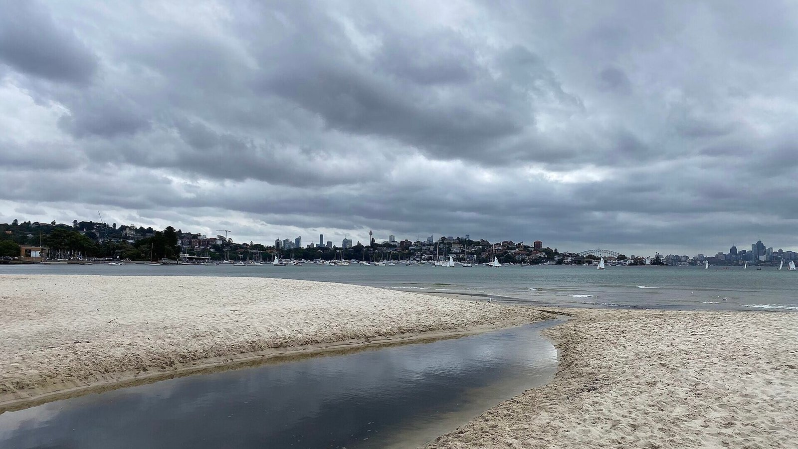 rose-bay-dog-beach-sydney - AustralianSecret Rose Bay Beach, Sydney, an off-leash dog beach