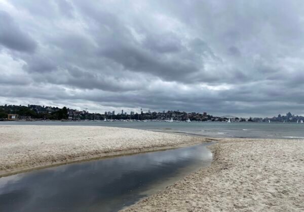 Rose Bay Beach, Sydney, an off-leash dog beach